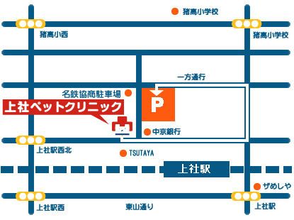 東洋医学とは？